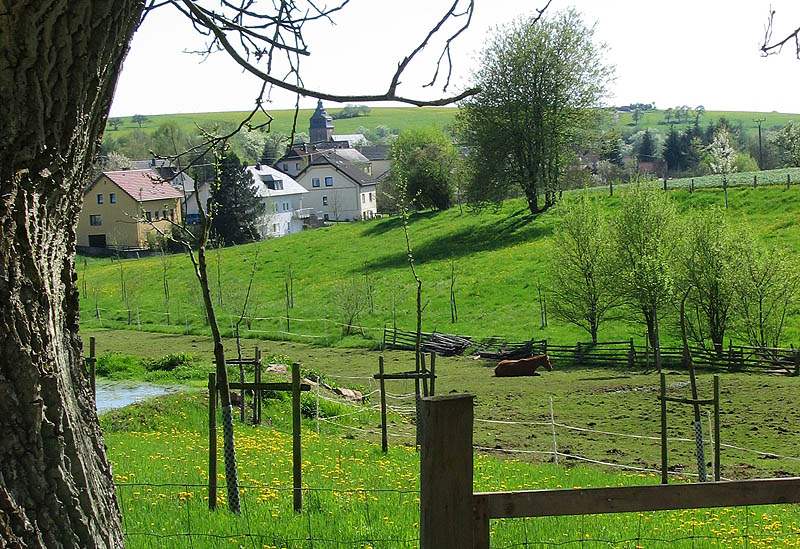 Wochenendurlaub auf Bauernhof Eulendorf Schotten, Eifel, Kreis Bitburg