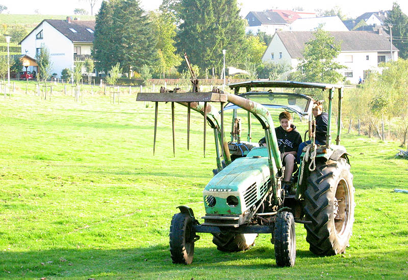 Ferienwochenende auf Bauernhof Eulendorf, Gransdorf, Eifel, Kreis Bitburg, Schafe
